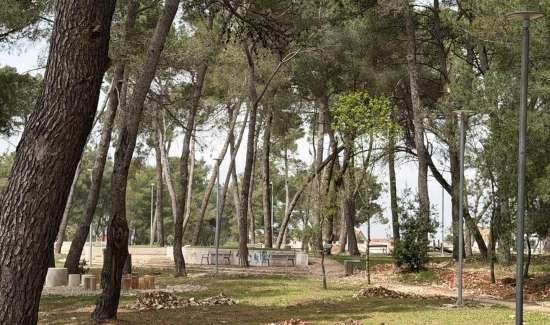 SADNJA STABALA U SKATE PARKU   Park će biti zatvoren do 15. lipnja