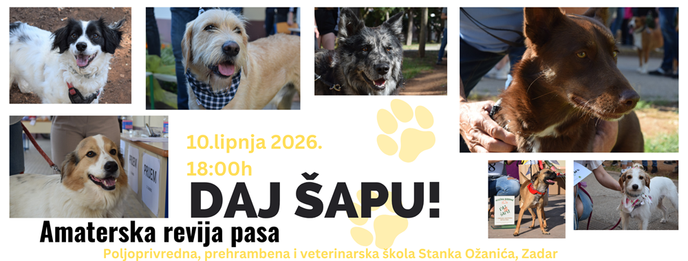 AMATERSKA REVIJA PASA 2026.  10. lipnja amaterska revija pasa „Daj šapu!“ gdje će se birati Njuška godine te Miss i Mister Azila