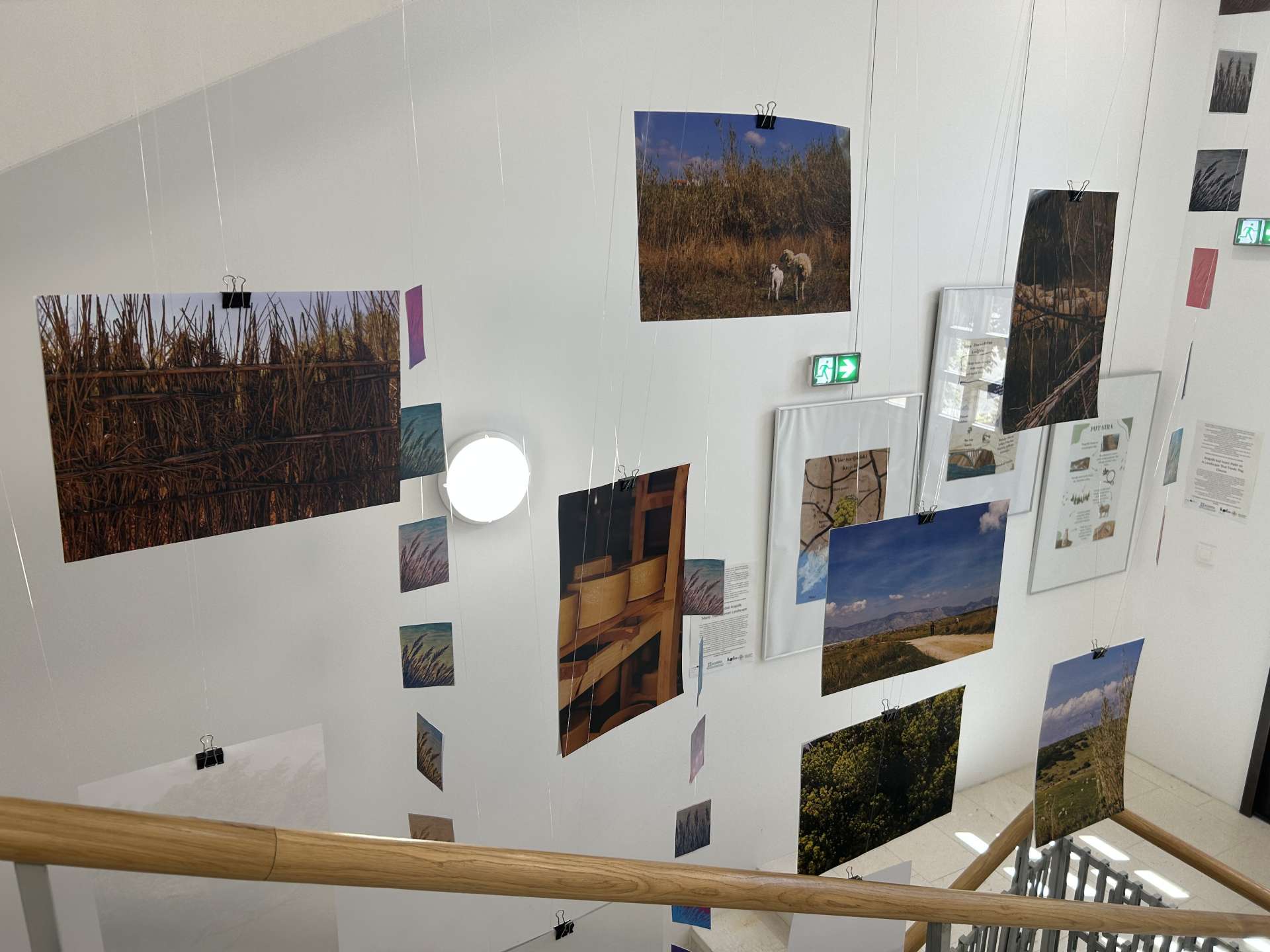 FOTO: Agrra (projekt GREW) 