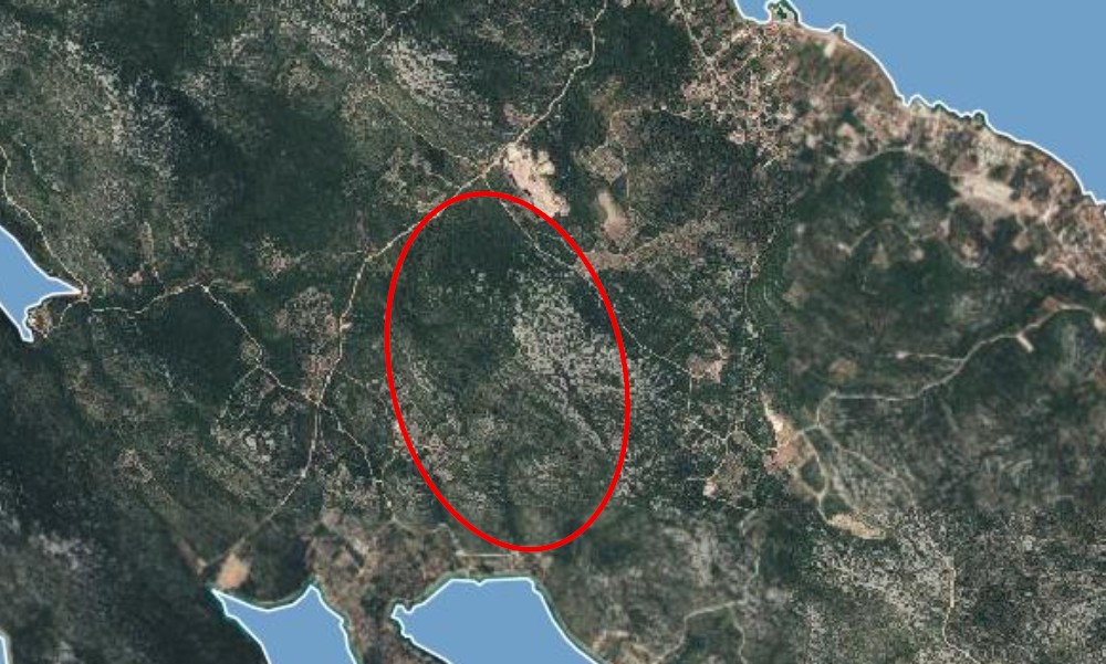 Od kamenjara do vinograda: Pašman pokreće projekt koji bi mogao promijeniti gospodarsku sliku otoka