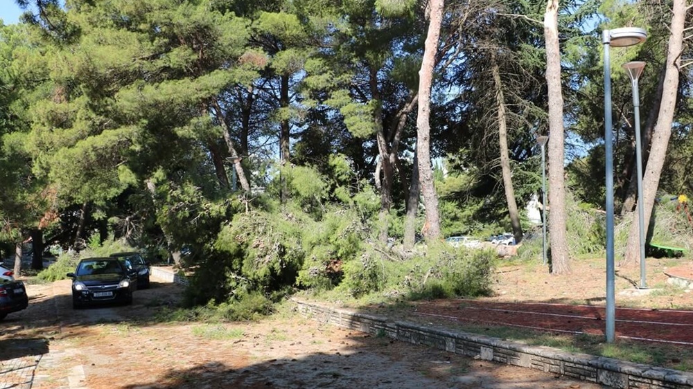 VAŽNO Zbog sanacije srušenih stabala nedostupno dječje igralište u ŠC Višnjik