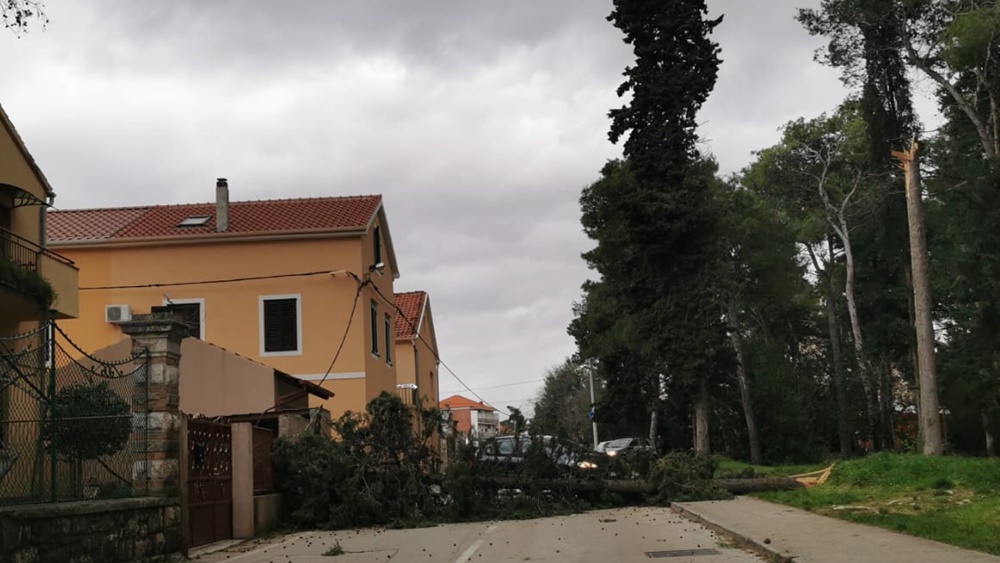 ORKANSKO JUGO RUŠI STABLA Vatrogasci imali nekoliko intervencija