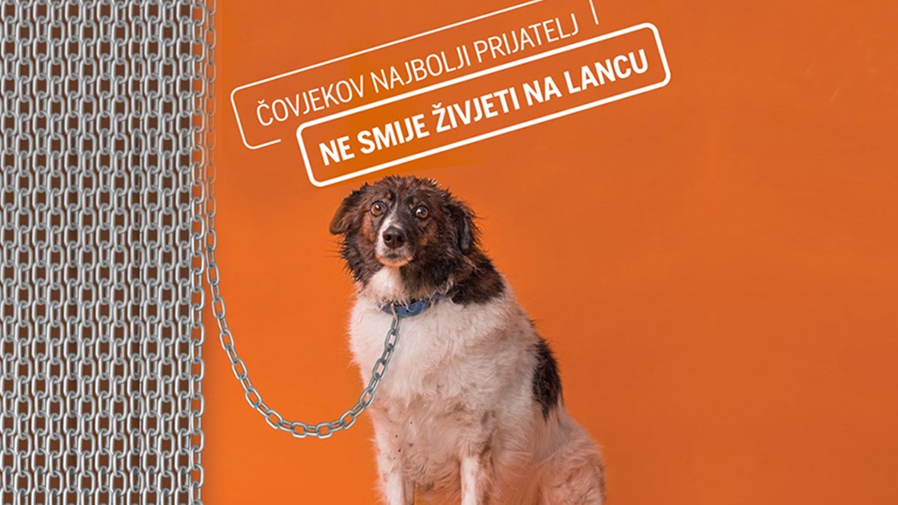 Veterinari podržali kampanju za zabranu držanja pasa na lancu