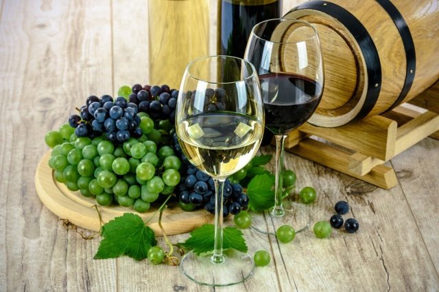 VINO