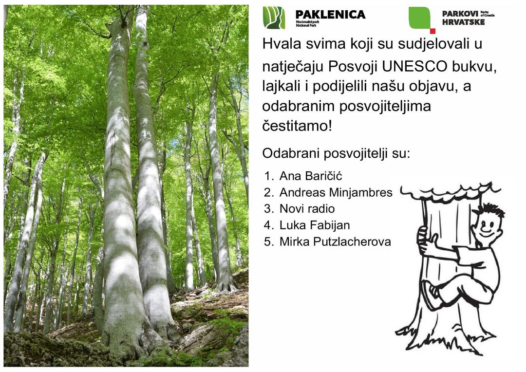U šumi UNESCO-ove Svjetske baštine živi i moja bukva!