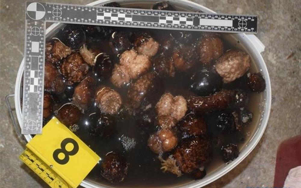 Rovanjska: U automobilu policija pronašla oko 148 kg trpova