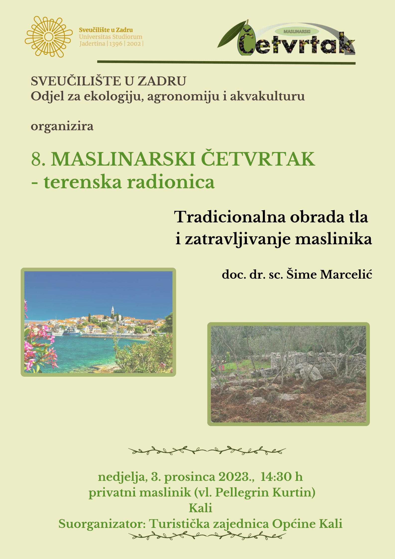 MASLINARSKI ČETVRTAK Tradicionalna obrada tla i zatravljivanje maslinika