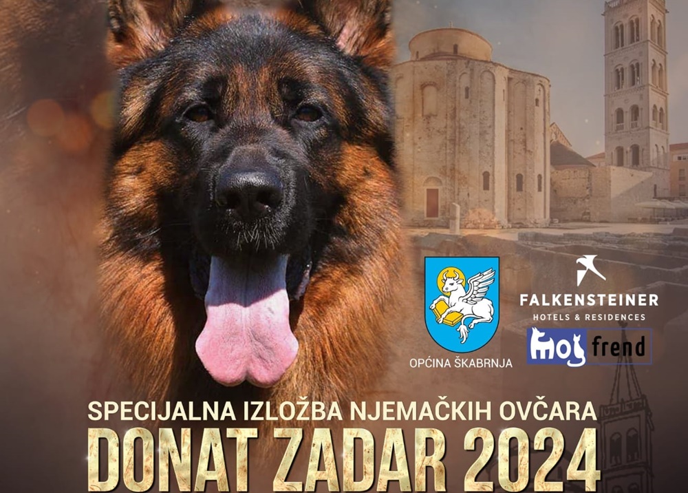 ŠKABRNJA  U subotu 5. listopada dođite  u Škabrnju i pogledajte Specijalnu izložbu njemačkih ovčara