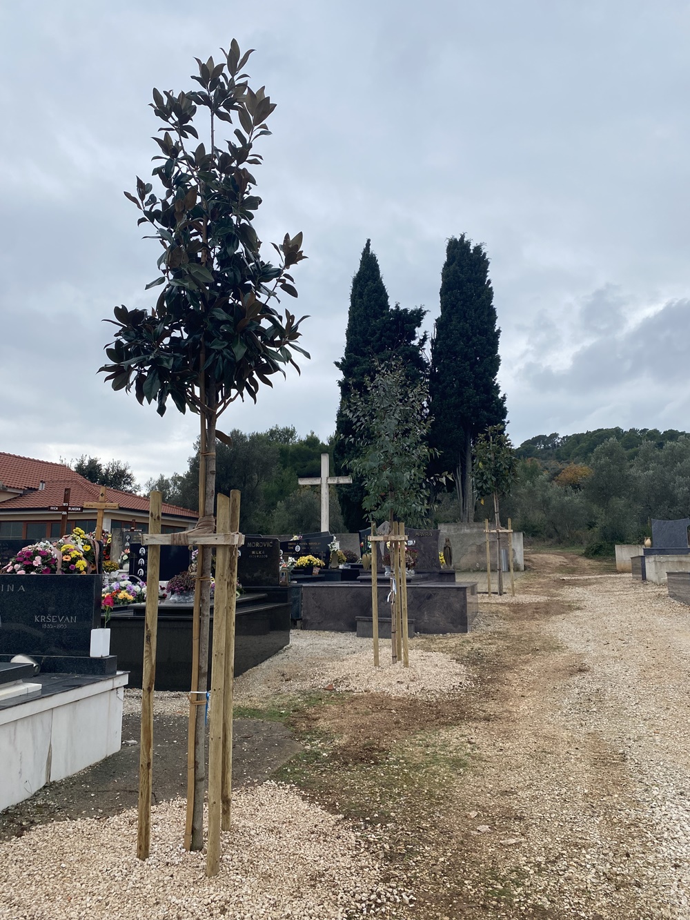 Održana akcija sadnje stabala u Kukljici