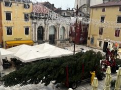 Na Narodni trg stigao 15-metarski bor iz Požege