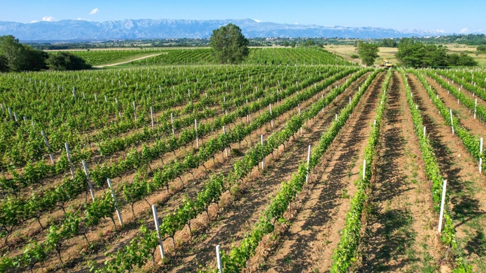 ŽUPANIJSKI OBJEKTIV Javni poziv za dodjelu potpora u poljoprivredi i ruralnom razvoju za 2026. godinu